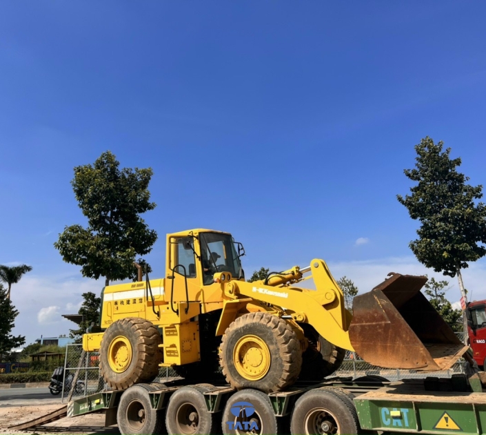 Máy Xúc Lật MS008